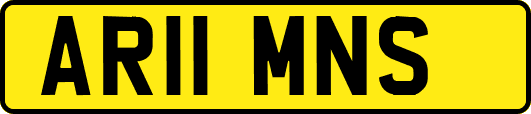 AR11MNS