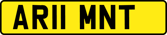 AR11MNT