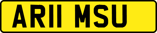 AR11MSU