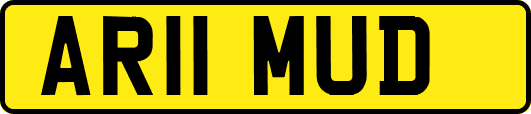 AR11MUD