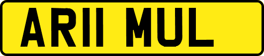 AR11MUL