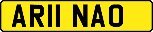 AR11NAO