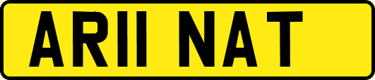 AR11NAT