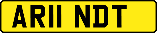 AR11NDT