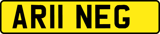 AR11NEG