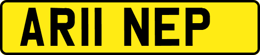 AR11NEP