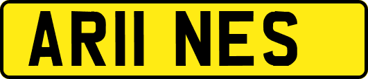 AR11NES