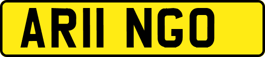 AR11NGO