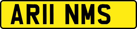 AR11NMS