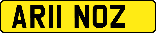 AR11NOZ