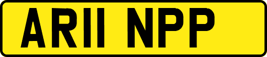 AR11NPP