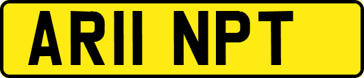 AR11NPT