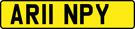 AR11NPY