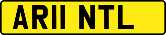 AR11NTL