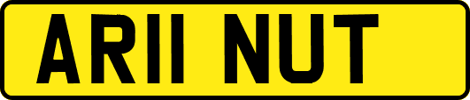 AR11NUT