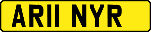 AR11NYR