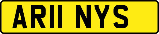 AR11NYS