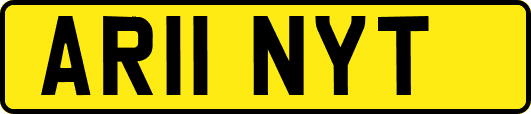 AR11NYT