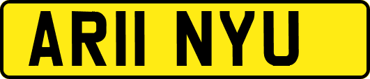 AR11NYU