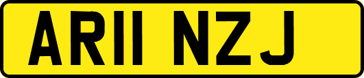 AR11NZJ