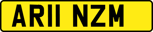 AR11NZM