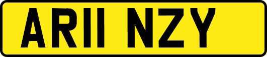 AR11NZY