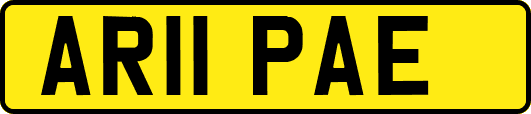 AR11PAE