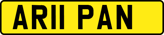 AR11PAN