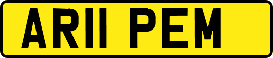 AR11PEM