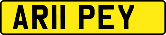 AR11PEY