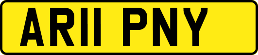 AR11PNY