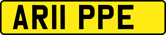 AR11PPE