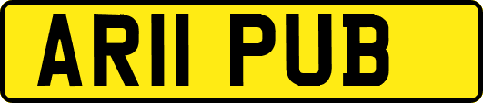 AR11PUB