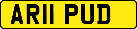 AR11PUD