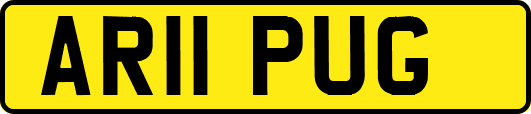 AR11PUG