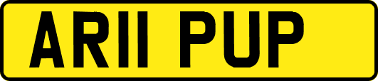 AR11PUP