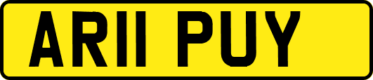 AR11PUY