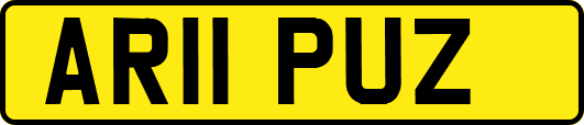 AR11PUZ