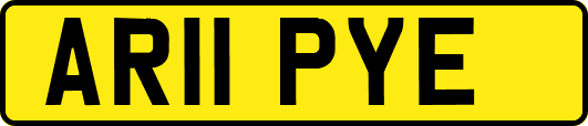 AR11PYE