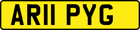 AR11PYG