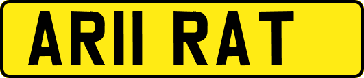 AR11RAT