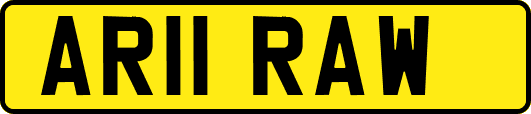 AR11RAW