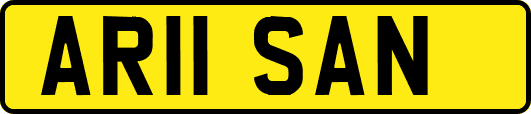 AR11SAN