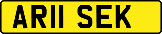 AR11SEK