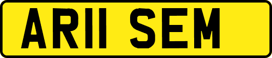 AR11SEM