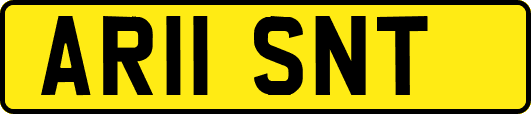 AR11SNT