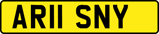 AR11SNY