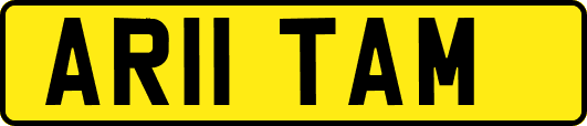 AR11TAM