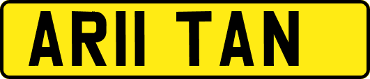 AR11TAN