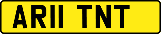 AR11TNT
